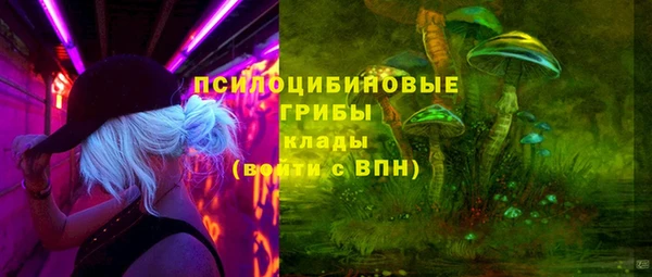 соль курить ск Дмитриев