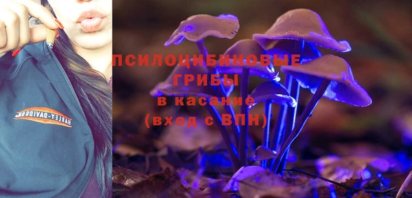 прущая мука Елизово